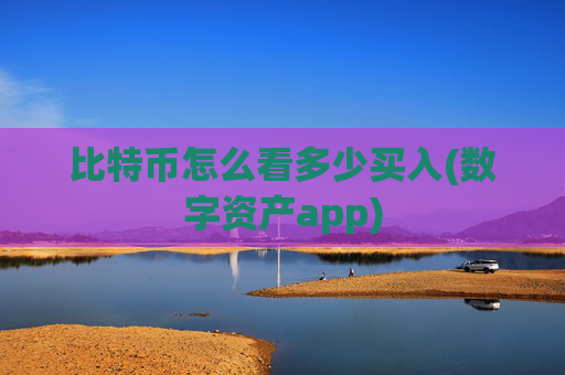 比特币怎么看多少买入(数字资产app)