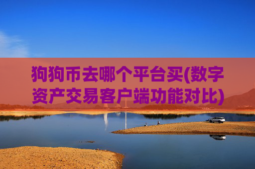 狗狗币去哪个平台买(数字资产交易客户端功能对比)