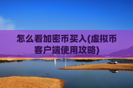 怎么看加密币买入(虚拟币客户端使用攻略)