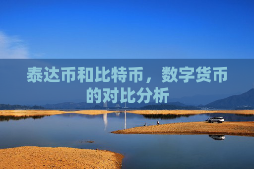 泰达币和比特币，数字货币的对比分析