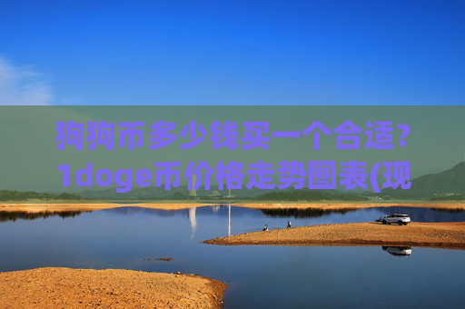 狗狗币多少钱买一个合适？1doge币价格走势图表(现价3.1017元)