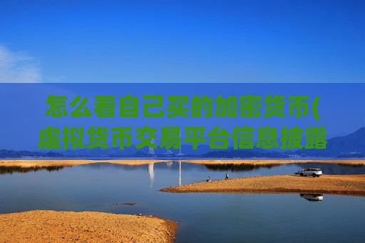 怎么看自己买的加密货币(虚拟货币交易平台信息披露指南)