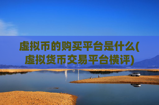 虚拟币的购买平台是什么(虚拟货币交易平台横评)