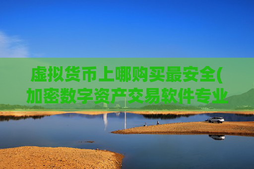 虚拟货币上哪购买最安全(加密数字资产交易软件专业)