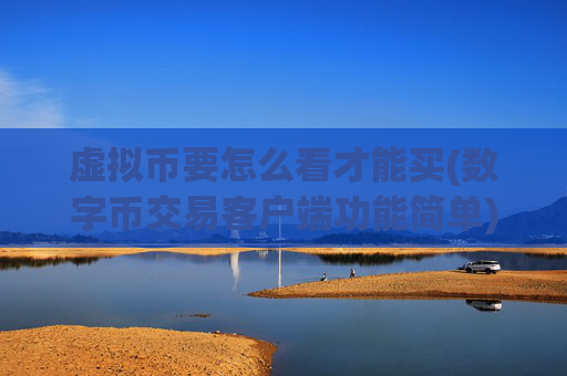 虚拟币要怎么看才能买(数字币交易客户端功能简单)