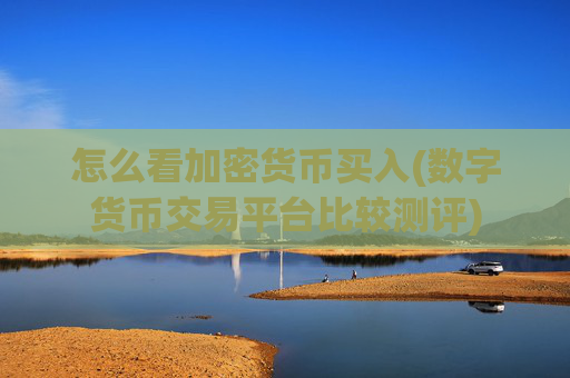 怎么看加密货币买入(数字货币交易平台比较测评)