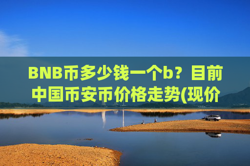 BNB币多少钱一个b？目前中国币安币价格走势(现价5197.11元)