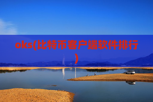 oks(比特币客户端软件排行)