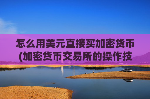 怎么用美元直接买加密货币(加密货币交易所的操作技巧)