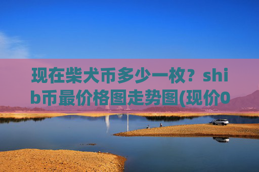 现在柴犬币多少一枚？shib币最价格图走势图(现价0.00021977元)