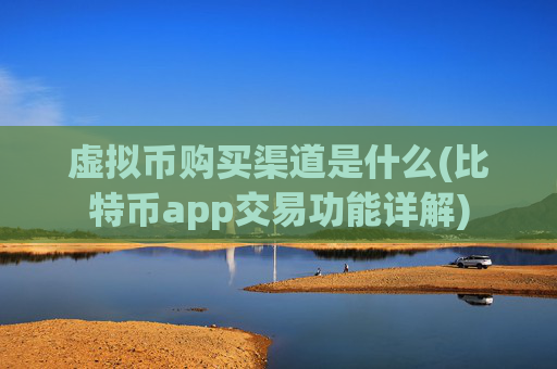 虚拟币购买渠道是什么(比特币app交易功能详解)