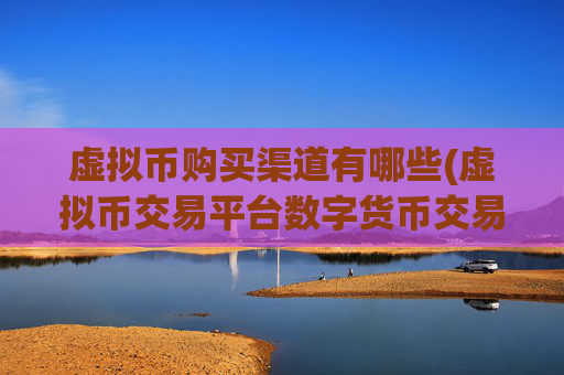 虚拟币购买渠道有哪些(虚拟币交易平台数字货币交易所)