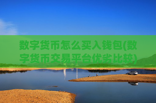 数字货币怎么买入钱包(数字货币交易平台优劣比较)