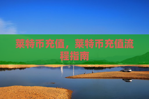 莱特币充值，莱特币充值流程指南