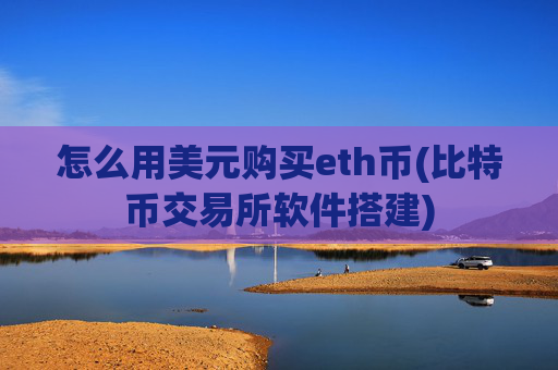 怎么用美元购买eth币(比特币交易所软件搭建)