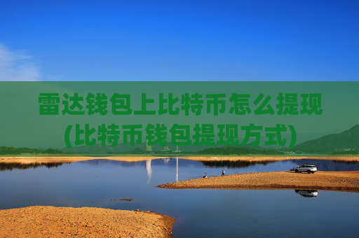 雷达钱包上比特币怎么提现(比特币钱包提现方式)