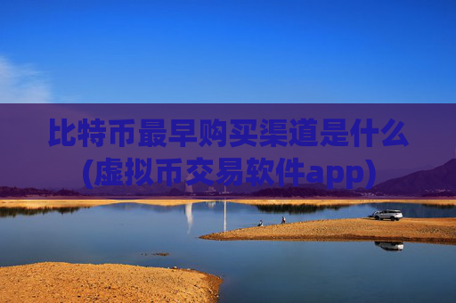 比特币最早购买渠道是什么(虚拟币交易软件app)