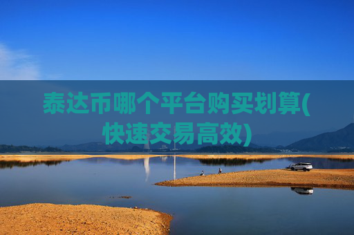 泰达币哪个平台购买划算(快速交易高效)