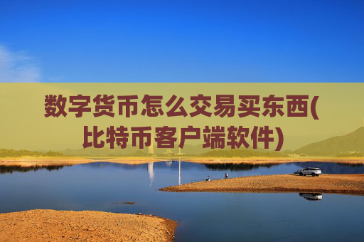 数字货币怎么交易买东西(比特币客户端软件)