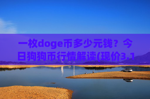 一枚doge币多少元钱？今日狗狗币行情解读(现价3.1262元)