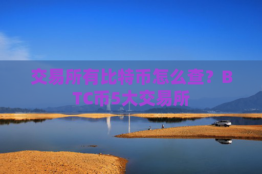 交易所有比特币怎么查？BTC币5大交易所