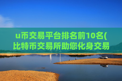 u币交易平台排名前10名(比特币交易所助您化身交易大师)