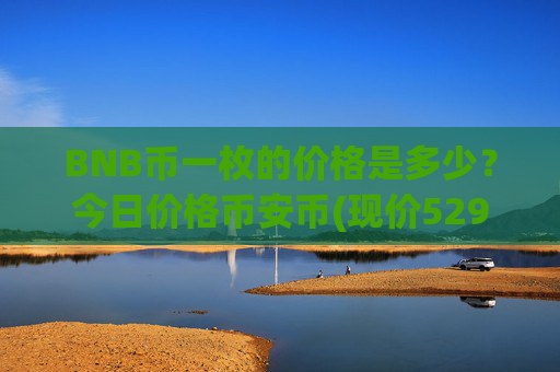 BNB币一枚的价格是多少？今日价格币安币(现价5293.1元)