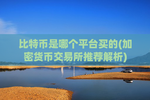 比特币是哪个平台买的(加密货币交易所推荐解析)