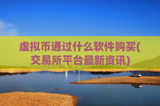 虚拟币通过什么软件购买(交易所平台最新资讯)