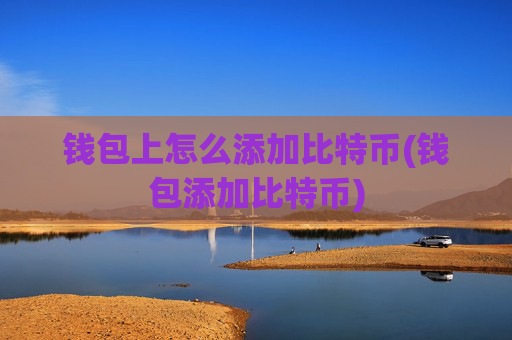 钱包上怎么添加比特币(钱包添加比特币)