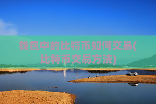 钱包中的比特币如何交易(比特币交易方法)