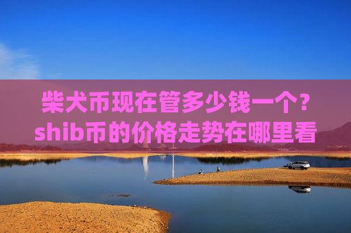 柴犬币现在管多少钱一个？shib币的价格走势在哪里看的到(现价0.00022572元)