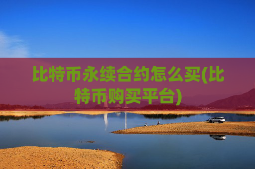 比特币永续合约怎么买(比特币购买平台)