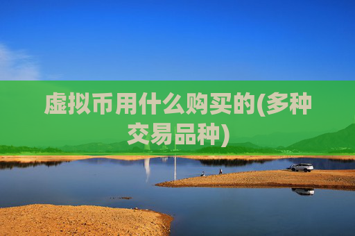 虚拟币用什么购买的(多种交易品种)
