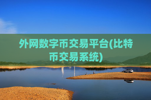 外网数字币交易平台(比特币交易系统)