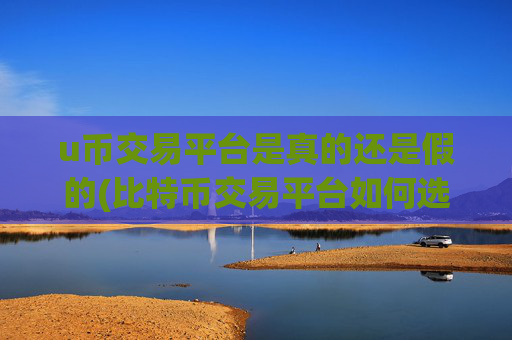 u币交易平台是真的还是假的(比特币交易平台如何选择)