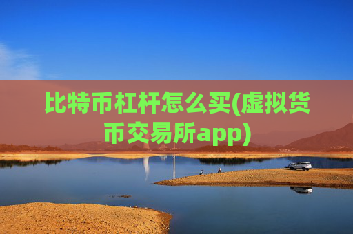 比特币杠杆怎么买(虚拟货币交易所app)