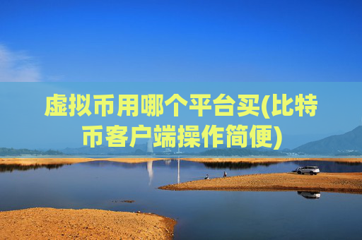虚拟币用哪个平台买(比特币客户端操作简便)