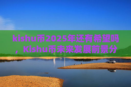 kishu币2025年还有希望吗，Kishu币未来发展前景分析