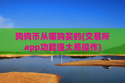 狗狗币从哪购买的(交易所app功能强大易操作)