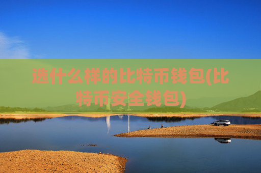 选什么样的比特币钱包(比特币安全钱包)