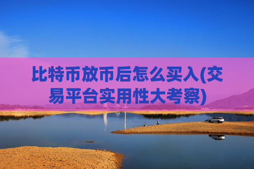 比特币放币后怎么买入(交易平台实用性大考察)