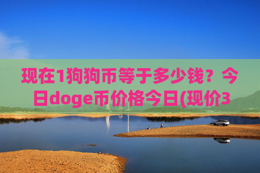 现在1狗狗币等于多少钱？今日doge币价格今日(现价3.1789元)