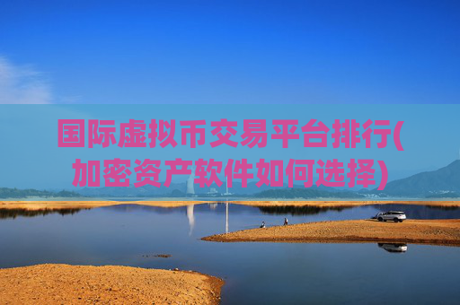 国际虚拟币交易平台排行(加密资产软件如何选择)