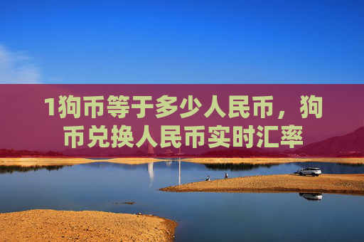 1狗币等于多少人民币,狗币兑换人民币实时汇率