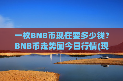 一枚BNB币现在要多少钱？BNB币走势图今日行情(现价5298.22元)
