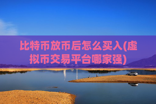 比特币放币后怎么买入(虚拟币交易平台哪家强)