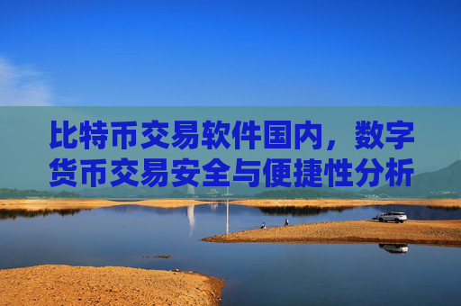比特币交易软件国内，数字货币交易安全与便捷性分析