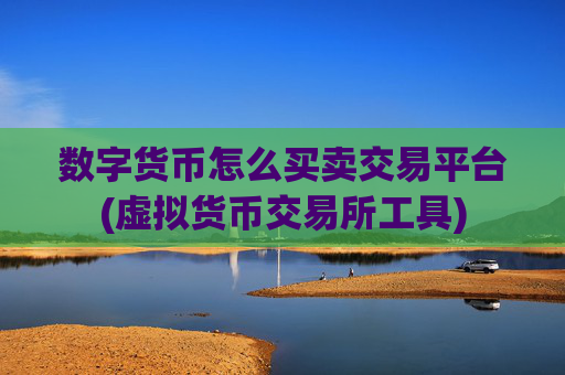 数字货币怎么买卖交易平台(虚拟货币交易所工具)