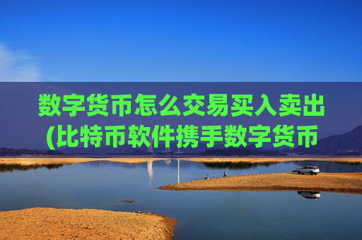 数字货币怎么交易买入卖出(比特币软件携手数字货币前行)